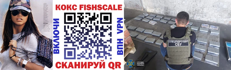 Купить где  Новозыбков  Кокаин Fish Scale 