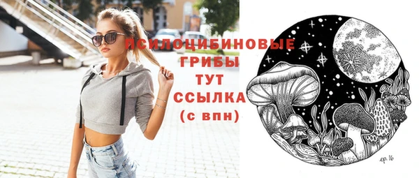 МДПВ Майский